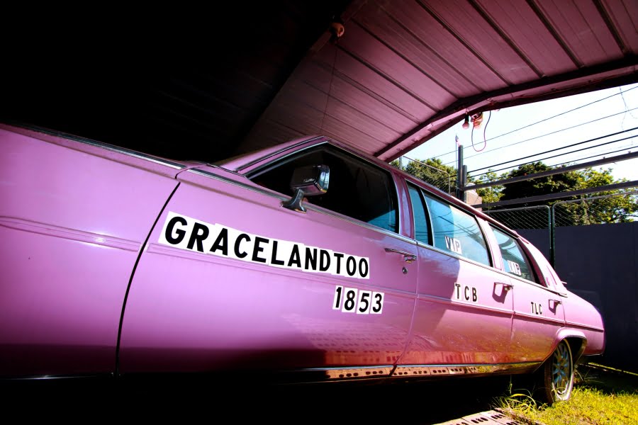 The Bgs Life Weekly Roundup: Hot Chicken, Graceland Too, Joshua Trees and More